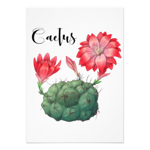 Plant Lover Cactus Plant Photo Print