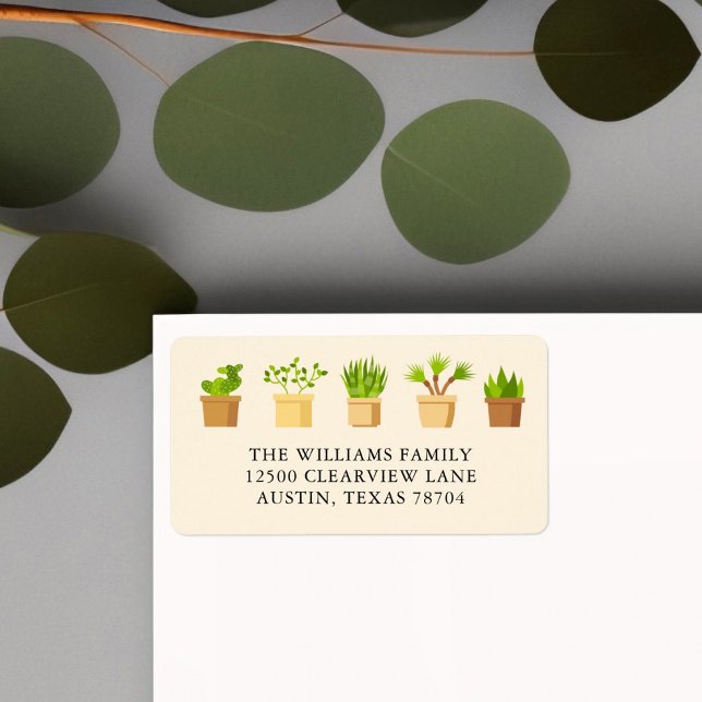 Plant Lover Cute Succulent Botany Return Address Label (Creator Uploaded)