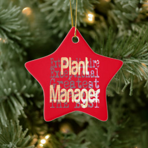 Plant Manager Extraordinaire Ceramic Tree Decoration