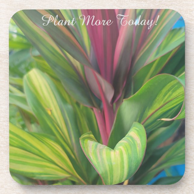 Plant More Coaster (Front)