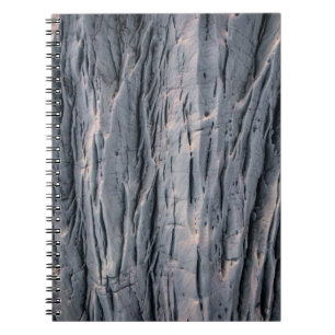 Plant Notebook
