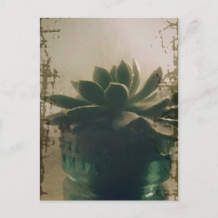 Plant Postcard