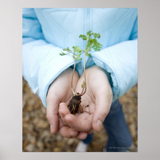 Plant seedling poster (Front)