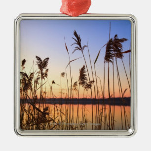 Plant Silhouette by Lakeside sunset Metal Tree Decoration