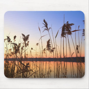 Plant Silhouette by Lakeside sunset Mouse Pad