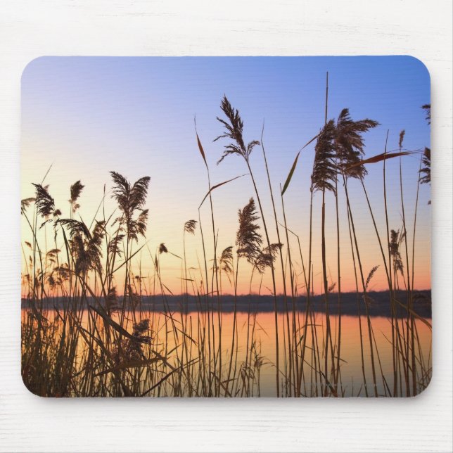 Plant Silhouette by Lakeside sunset Mouse Pad (Front)