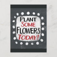 Plant Some Flowers Today Postcard