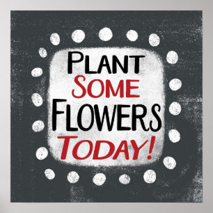 Plant Some Flowers Today Poster Wall Art