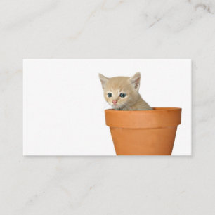 Plant some love profile card