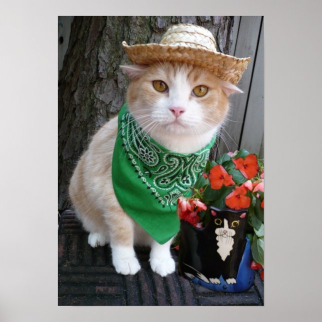 Plant Something Poster (Front)