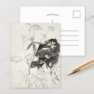 Plant Study Carel Adolph Cachet Postcard