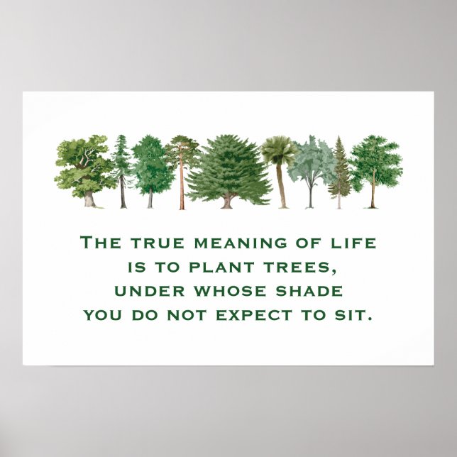 Plant Trees Meaning of Life Environmental Saying B Poster (Front)