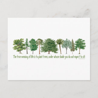 Plant Trees - Tree Lover, Hugger Postcard