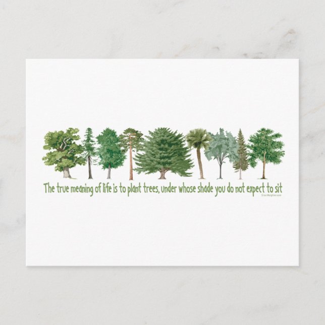Plant Trees - Tree Lover, Hugger Postcard (Front)