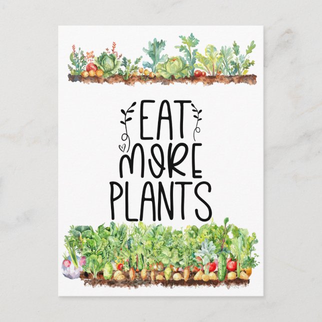 Plant Veggie vegetable Vegetarian  Postcard (Front)