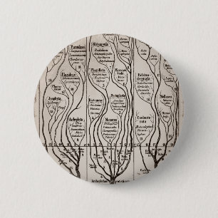 Plantae Protista Animalia 6 Cm Round Badge