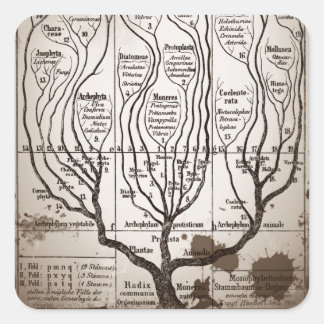 Plantae Protista Animalia Square Sticker