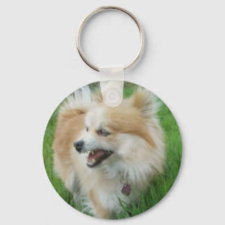 PLANTDOG KEY RING