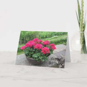 Planter of Geraniums Birthday Wishes Card