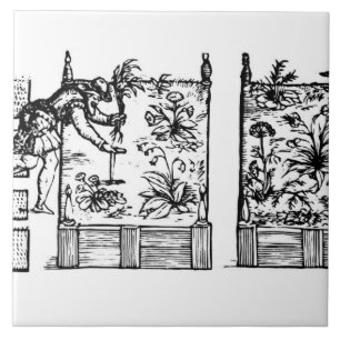 Planting in raised beds, from 'The Gardener's Laby Tile