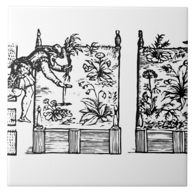 Planting in raised beds, from 'The Gardener's Laby Tile (Front)