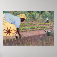 Planting Onions 2005