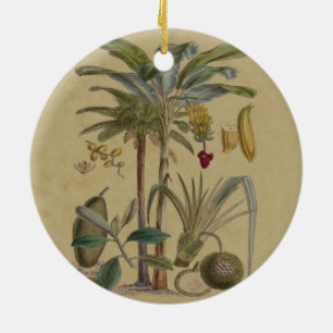 plAntique Tropical Palm Fruit Botanical Ceramic Tree Decoration