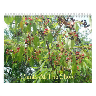 Plants at The Shore Calendar