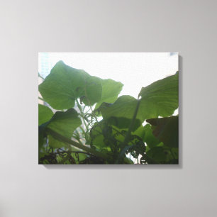 Plants Canvas Print