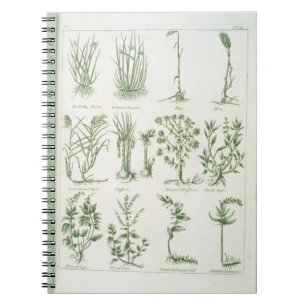 Plants from Culpeper's 'English Physician and Comp Spiral Notebook