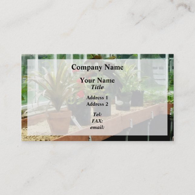 Plants in Greenhouse Business Card (Front)