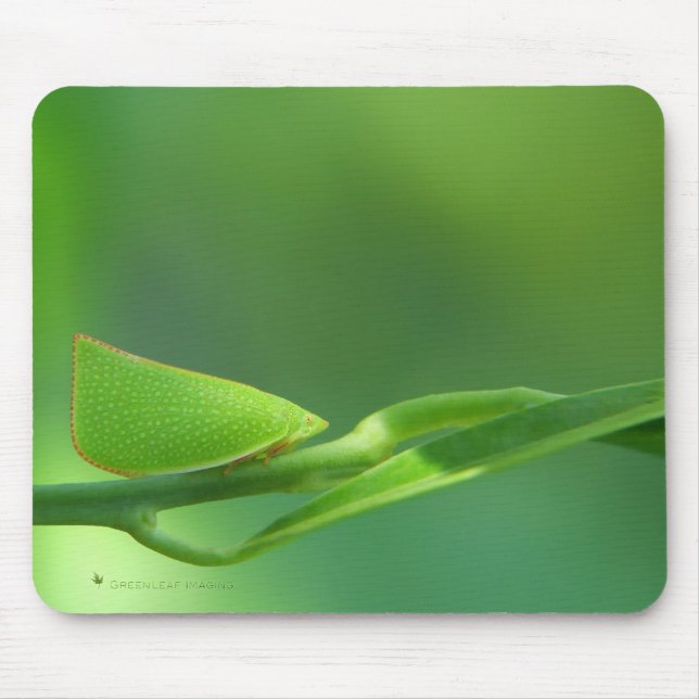 PlantWalker Mouse Pad (Front)