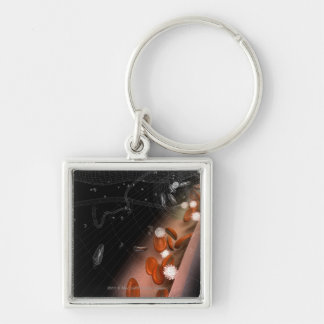 Plaque in the arteries key ring