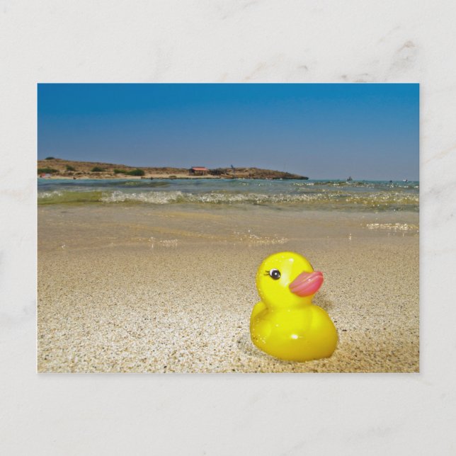 Plastic Duck at the Beach Postcard (Front)