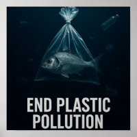 Plastic-Free Oceans – Marine Life Awareness