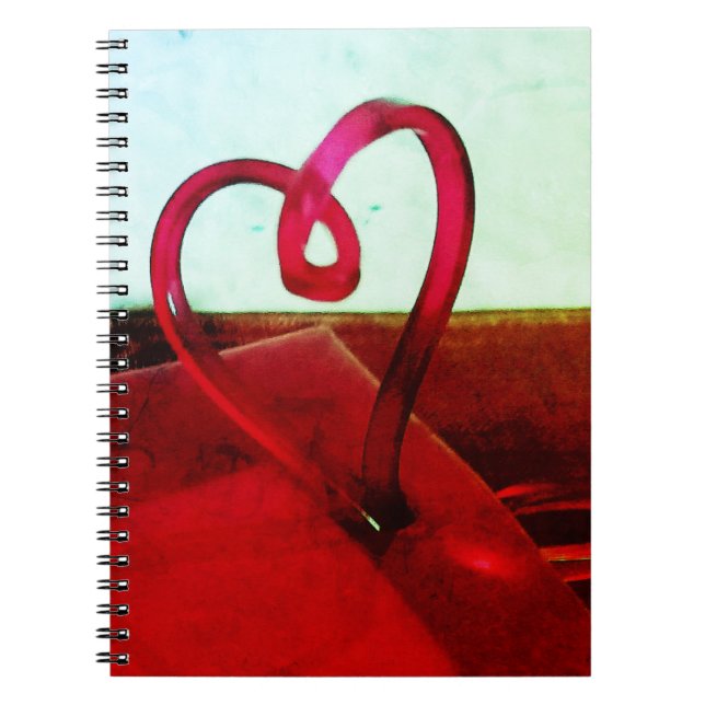 Plastic Heart    Notebook (Front)