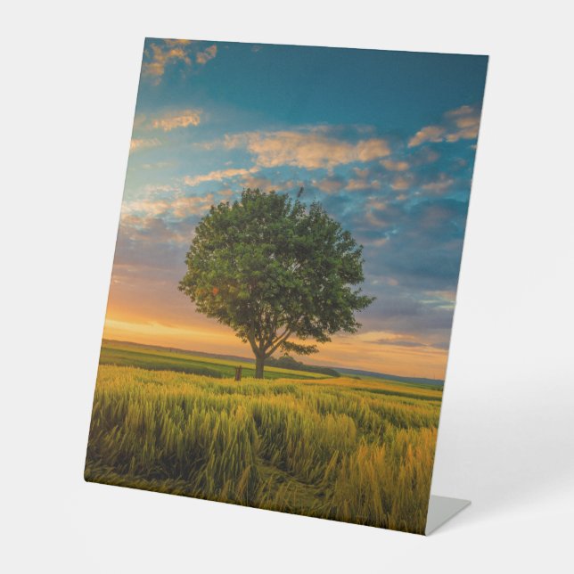 Plastic Pedestal Sign 10"X12" (Front)