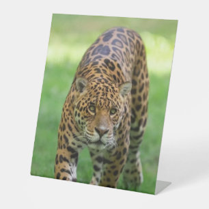Plastic Pedestal Sign   10" x 12" CusPedestal Sign