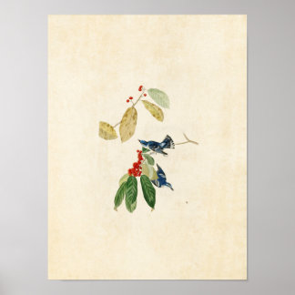 Plate 48 | Azure Warbler | Birds of America Poster