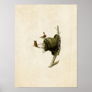 Plate 83   House Wren   Birds of America Poster