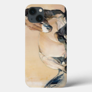 Plateau Sun iPhone 13 Case