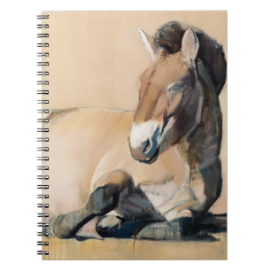 Plateau Sun Notebook