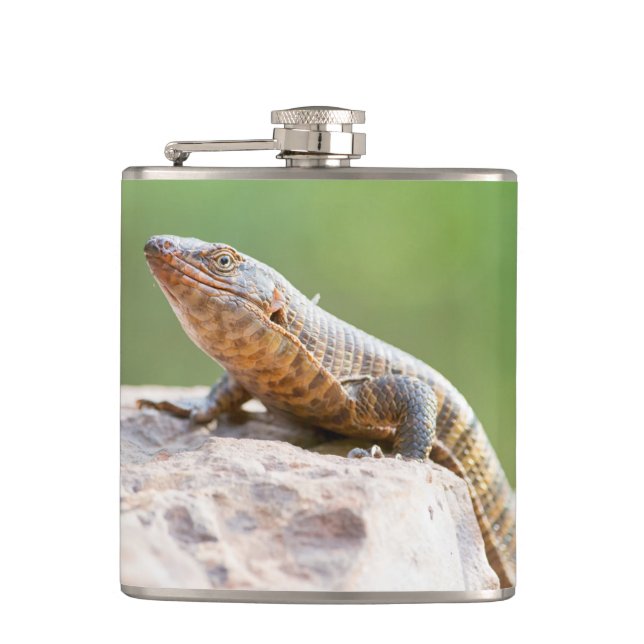 Plated Lizard Hip Flask (Front)