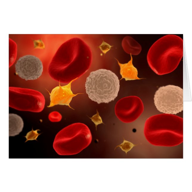 Platelets With Red Blood Cells 2 (Front Horizontal)