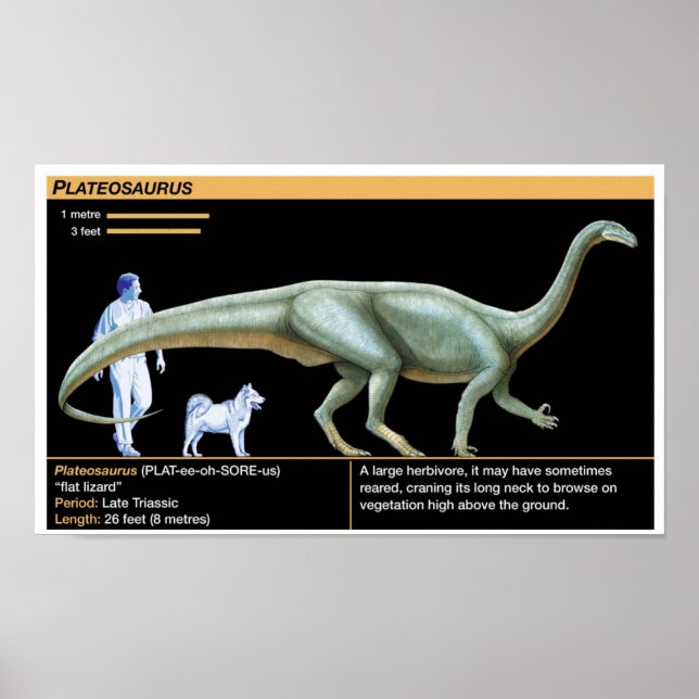 Plateosaurus - Biology Jurassic Poster (Front)