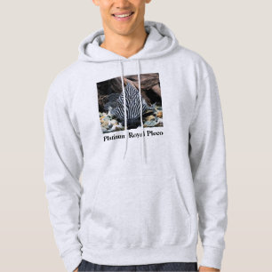 Platinum Royal Pleco , Panaque niglolineatus Hoodie