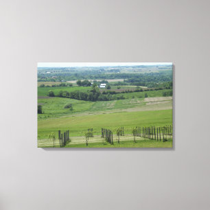 Platteville, Wisconsin Grapevine  Vineyard Poster Canvas Print