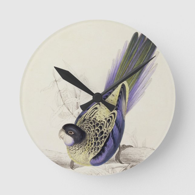 Platycercus Brownii, or Brown's Parrakeet (Plate 2 Round Clock (Front)