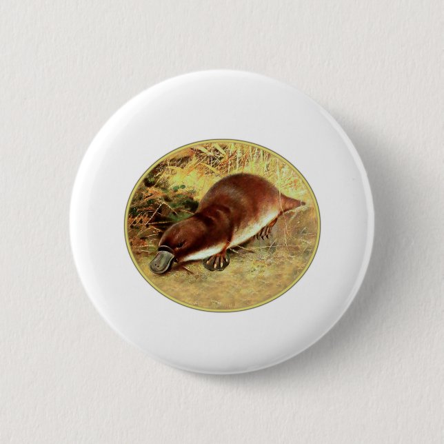 Platypus 6 Cm Round Badge (Front)