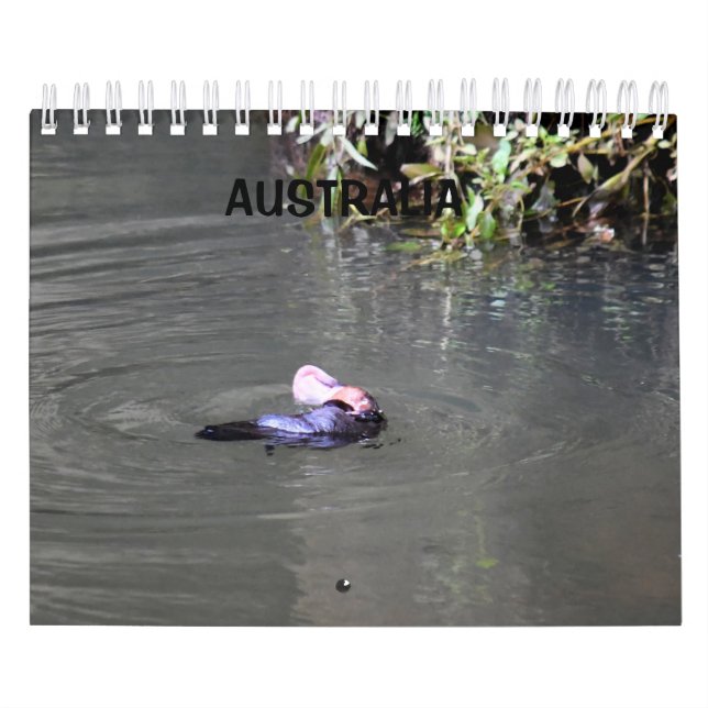 PLATYPUS AUSTRALIA CALENDAR (Cover)